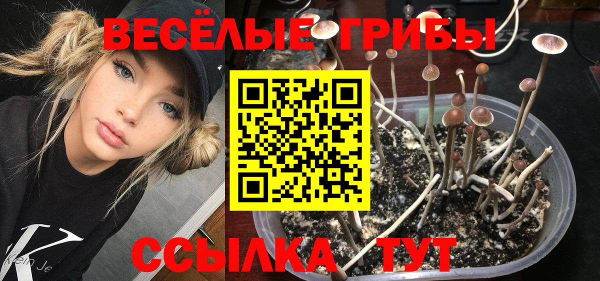 Галлюциногенные грибы мицелий  Вход с VPN  Осинники 