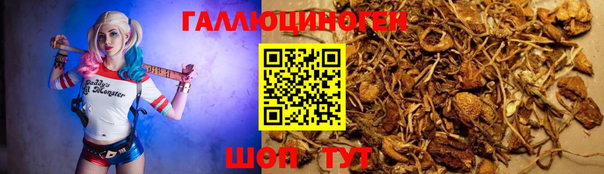 Галлюциногенные грибы Magic Shrooms Осинники